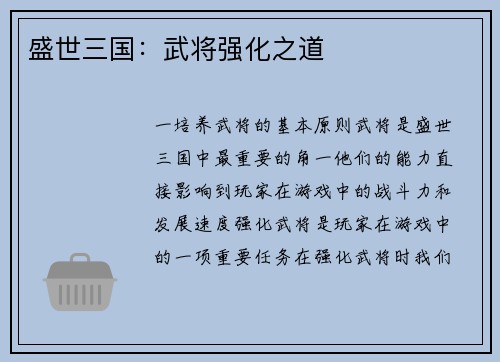 盛世三国：武将强化之道